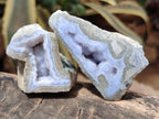 Polished One Side Blue Lace Agate Geodes x 19 From Nsanje, Malawi