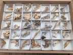 Natural Rhomboherdral and Spearhead Calcite Crystal Specimens x 35 From Albert's Mountain, Lesotho