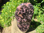 Polished Large Rhodonite Standing Display Piece x 1 From Ambindavato, Madagascar