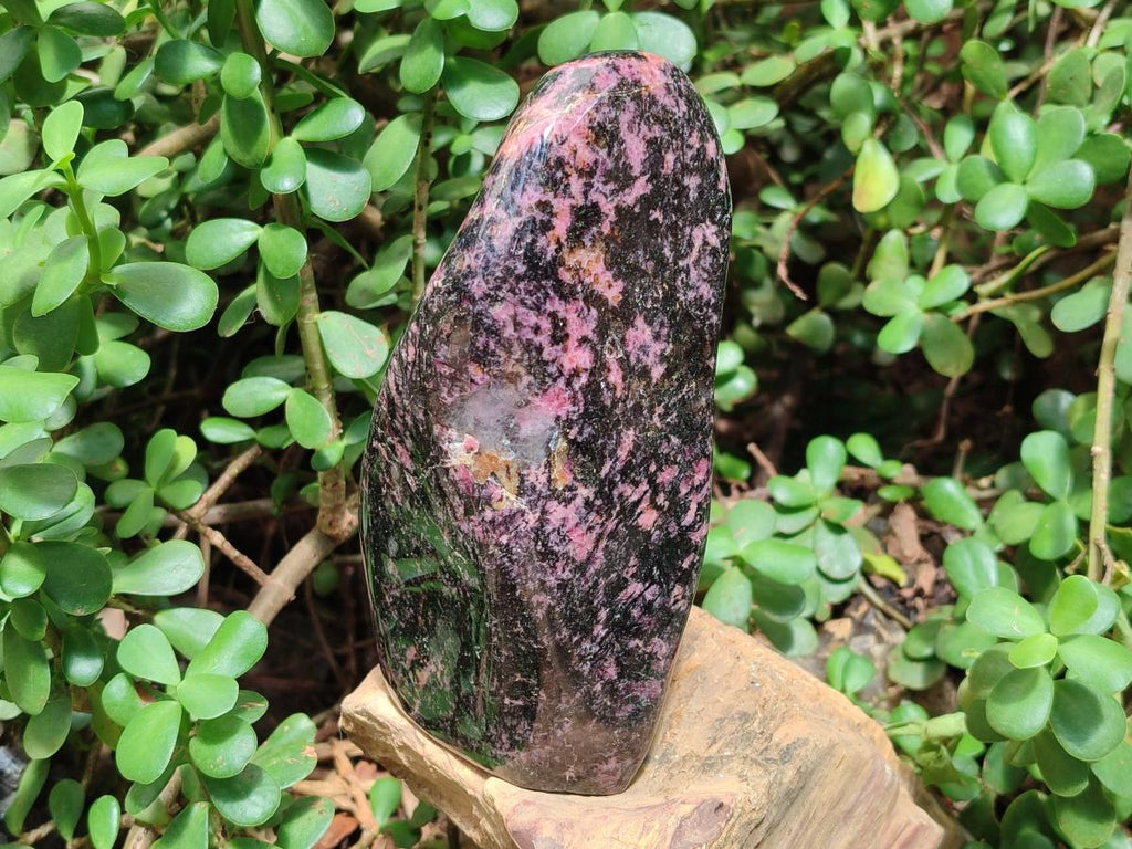 Polished Large Rhodonite Standing Display Piece x 1 From Ambindavato, Madagascar