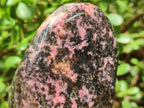 Polished Large Rhodonite Standing Display Piece x 1 From Ambindavato, Madagascar