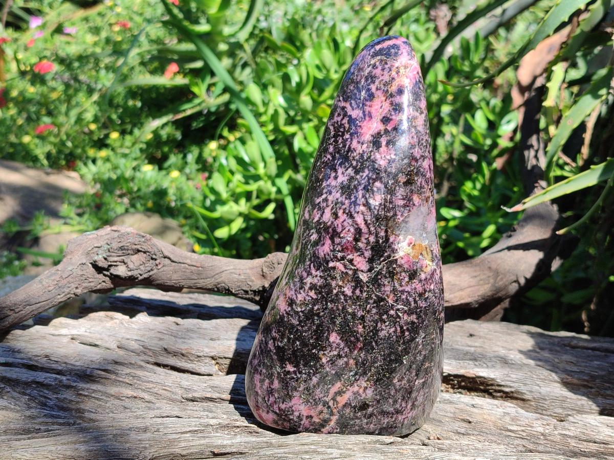 Polished Large Rhodonite Standing Display Piece x 1 From Ambindavato, Madagascar