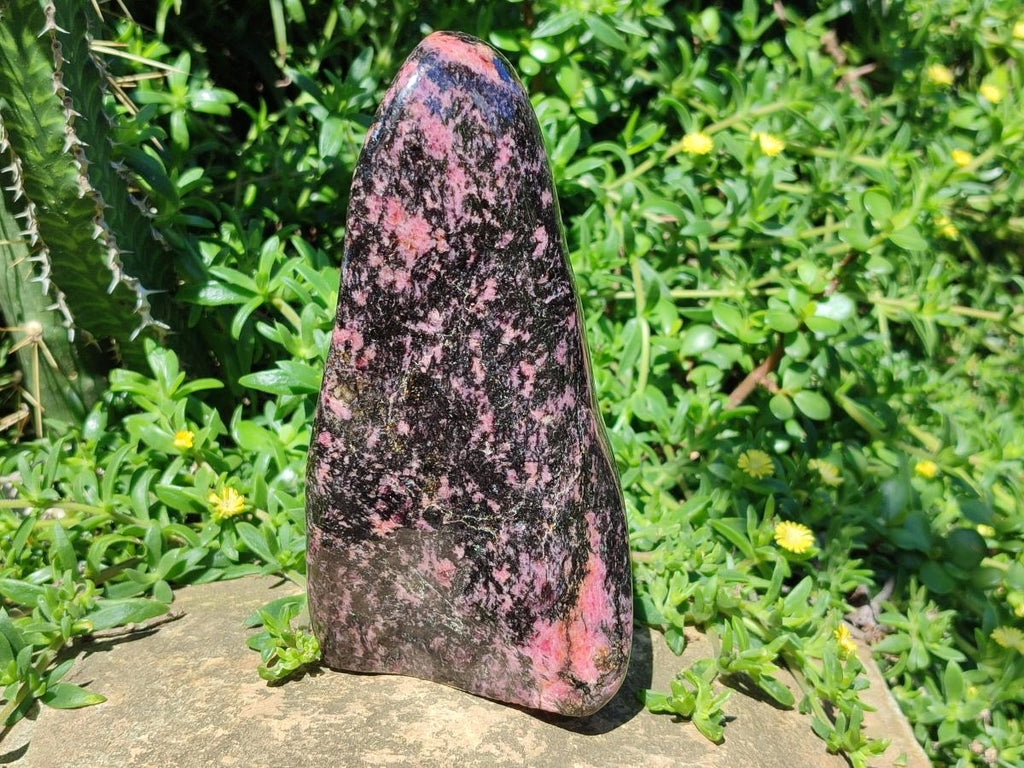 Polished Large Rhodonite Standing Display Piece x 1 From Ambindavato, Madagascar