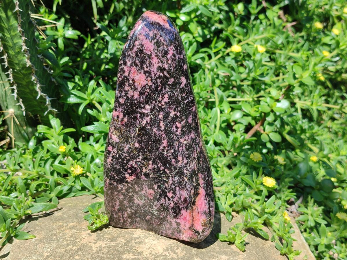 Polished Large Rhodonite Standing Display Piece x 1 From Ambindavato, Madagascar