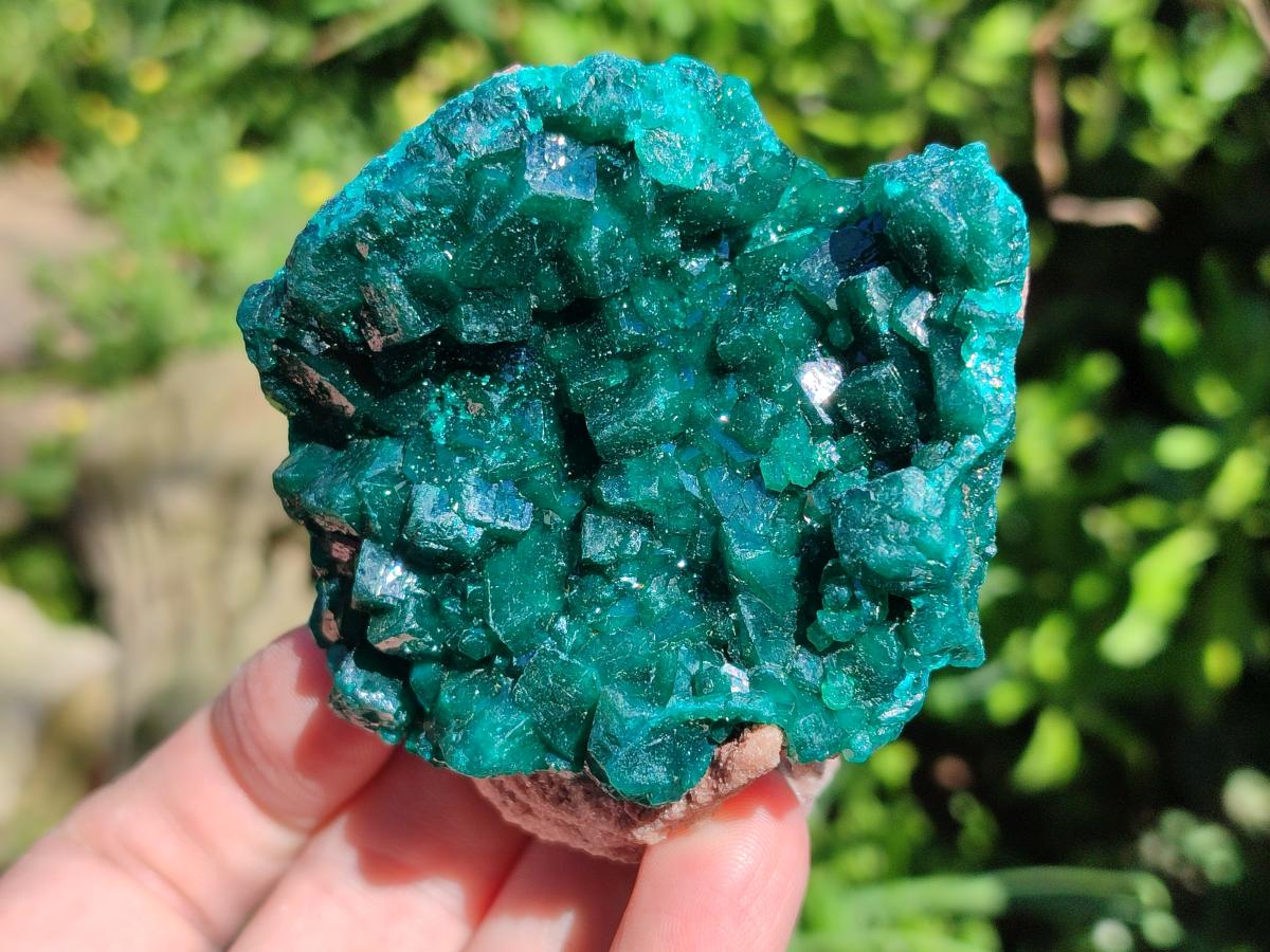 Natural Cabinet Size Dioptase Specimens on Dolomite Matrix x 2 From Tantara Mine, Congo