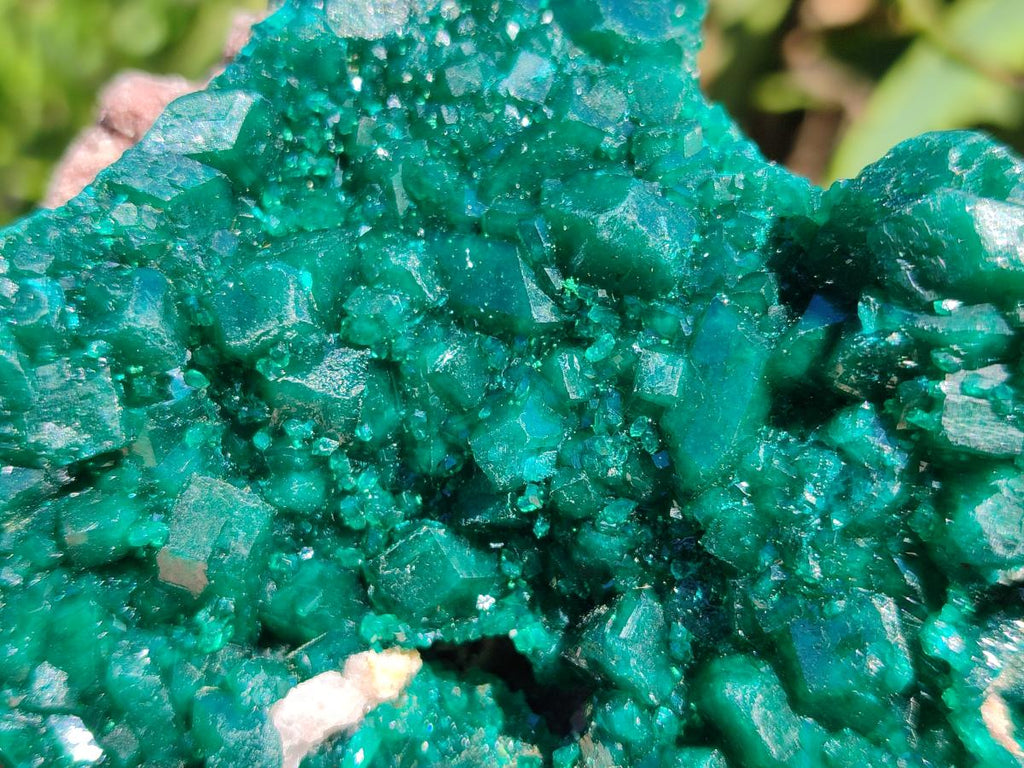 Natural Cabinet Size Dioptase Specimens on Dolomite Matrix x 2 From Tantara Mine, Congo