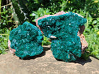Natural Cabinet Size Dioptase Specimens on Dolomite Matrix x 2 From Tantara Mine, Congo