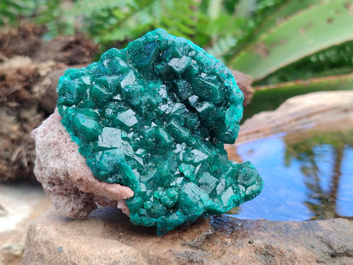 Natural Cabinet Size Dioptase Specimens on Dolomite Matrix x 2 From Tantara Mine, Congo