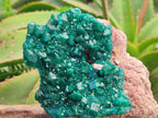 Natural Cabinet Size Dioptase Specimens on Dolomite Matrix x 2 From Tantara Mine, Congo