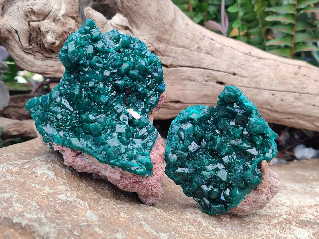 Natural Cabinet Size Dioptase Specimens on Dolomite Matrix x 2 From Tantara Mine, Congo