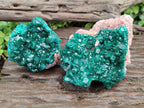 Natural Cabinet Size Dioptase Specimens on Dolomite Matrix x 2 From Tantara Mine, Congo