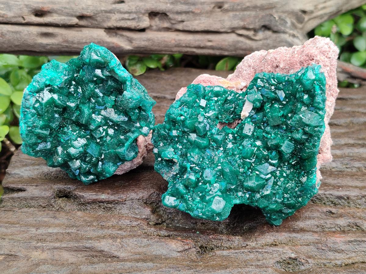 Natural Cabinet Size Dioptase Specimens on Dolomite Matrix x 2 From Tantara Mine, Congo