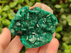 Natural Cabinet Size Dioptase Specimens on Dolomite Matrix x 2 From Tantara Mine, Congo