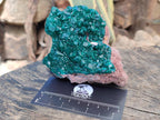 Natural Cabinet Size Dioptase Specimens on Dolomite Matrix x 2 From Tantara Mine, Congo