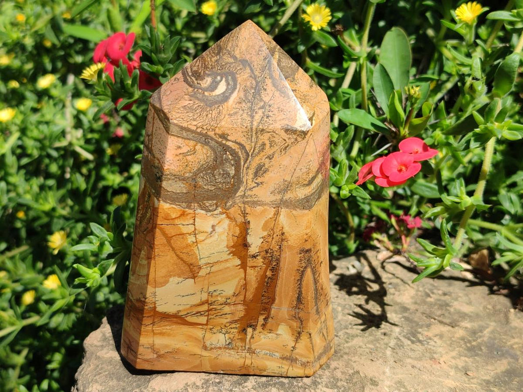 Polished Picture Stone Jasper Display Crystals x 2 From Ais-Ais, Namibia