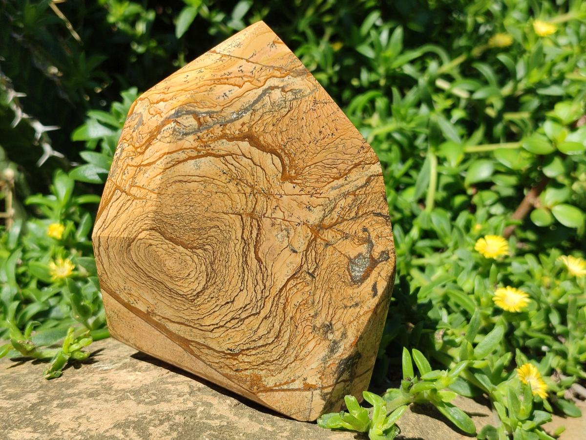 Polished Picture Stone Jasper Display Crystals x 2 From Ais-Ais, Namibia