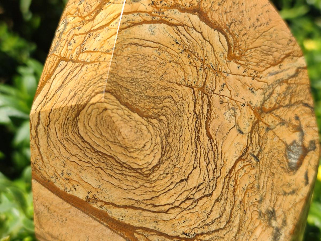 Polished Picture Stone Jasper Display Crystals x 2 From Ais-Ais, Namibia
