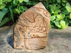 Polished Picture Stone Jasper Display Crystals x 2 From Ais-Ais, Namibia