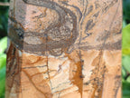 Polished Picture Stone Jasper Display Crystals x 2 From Ais-Ais, Namibia