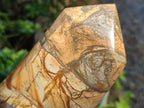 Polished Picture Stone Jasper Display Crystals x 2 From Ais-Ais, Namibia