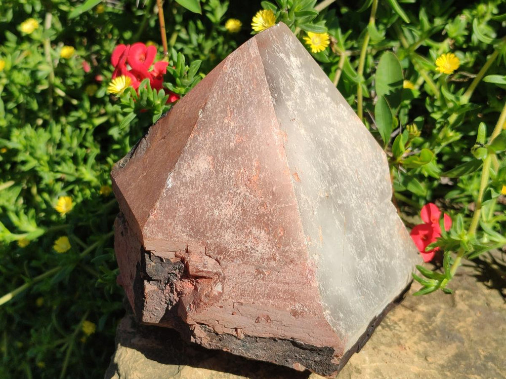 Natural Large Goethite Coated Blacknite Quartz Crystals x 2 From Madagascar