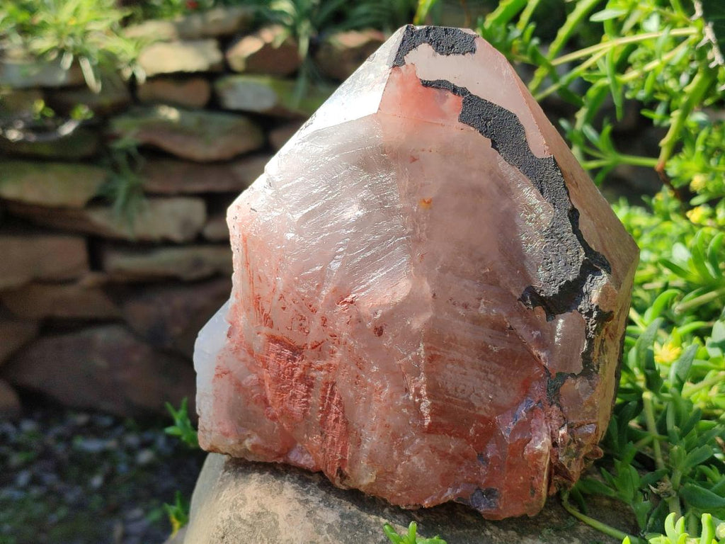 Natural Large Goethite Coated Blacknite Quartz Crystals x 2 From Madagascar