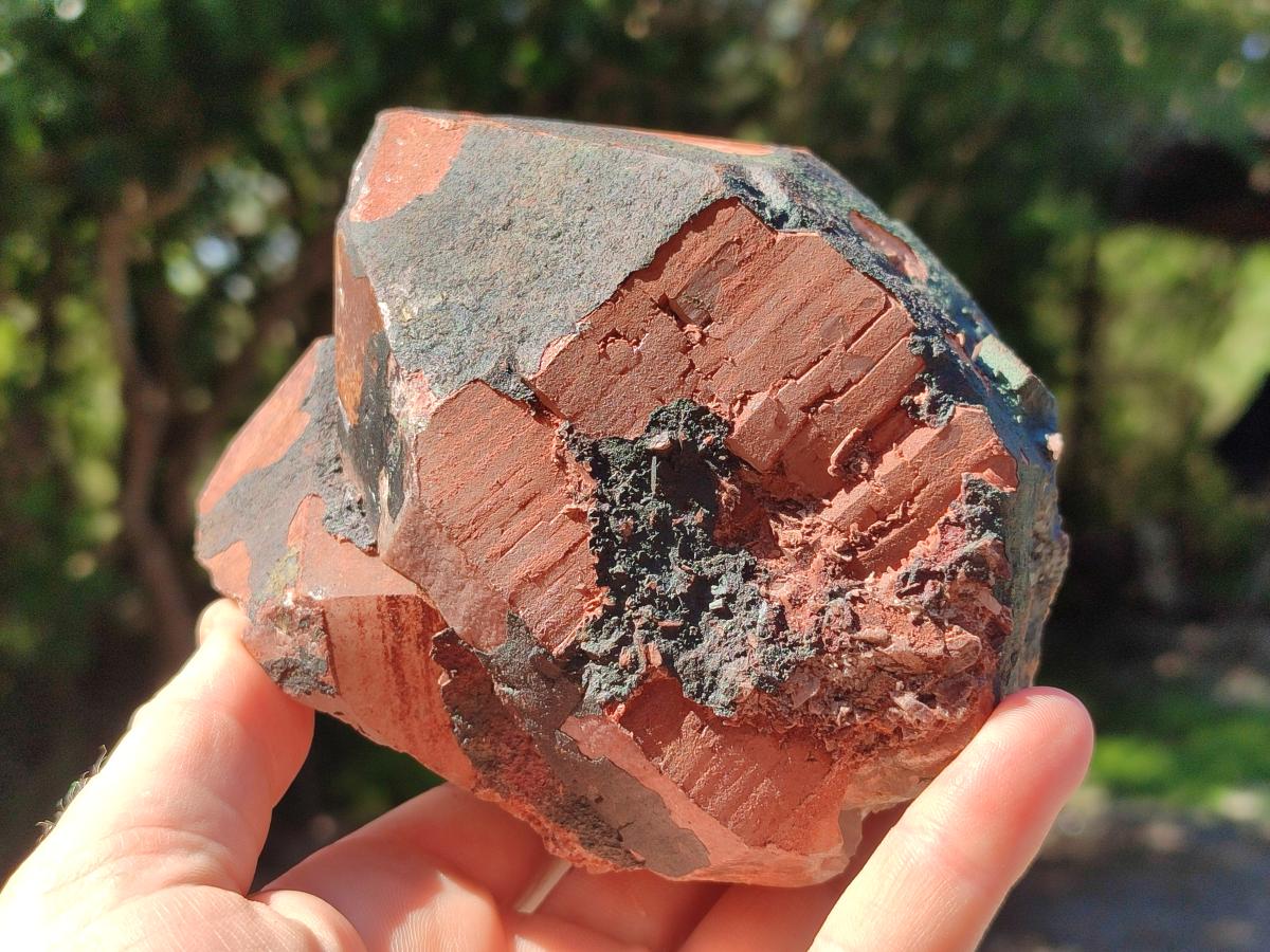 Natural Large Goethite Coated Blacknite Quartz Crystals x 2 From Madagascar