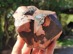 Natural Large Goethite Coated Blacknite Quartz Crystals x 2 From Madagascar