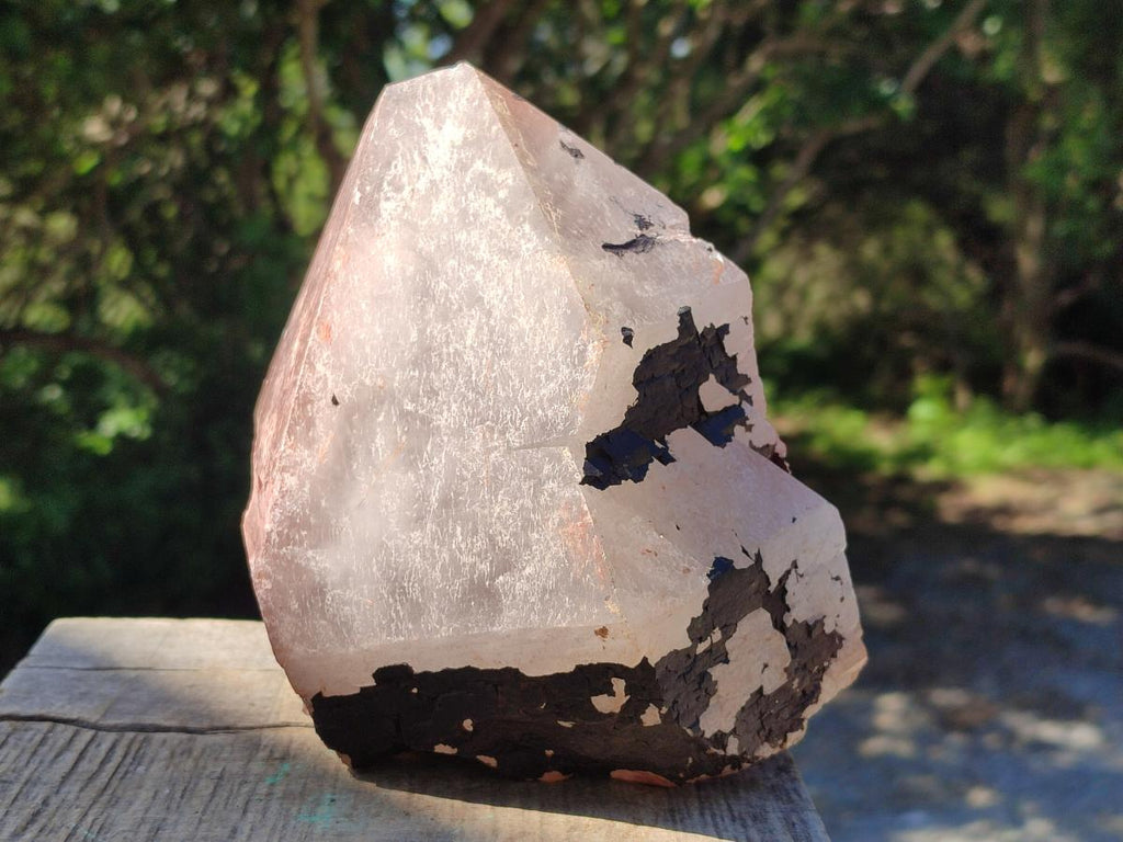 Natural Large Goethite Coated Blacknite Quartz Crystals x 2 From Madagascar