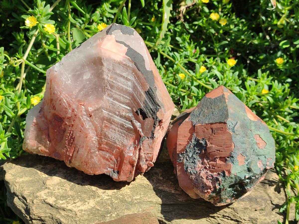 Natural Large Goethite Coated Blacknite Quartz Crystals x 2 From Madagascar
