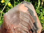 Natural Large Goethite Coated Blacknite Quartz Crystals x 2 From Madagascar