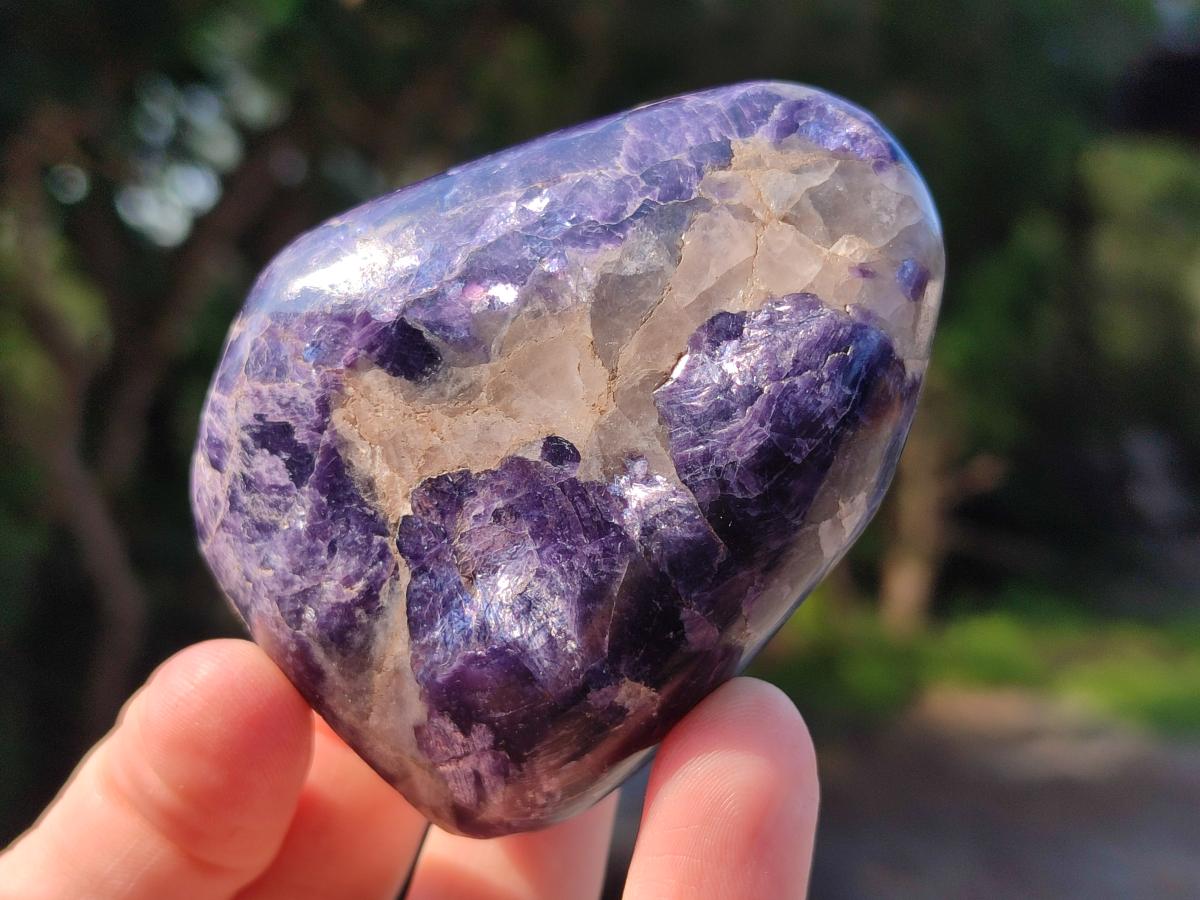 Polished Lepidolite Standing Display Pieces x 12 From Zimbabwe