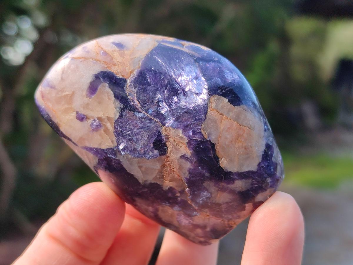 Polished Lepidolite Standing Display Pieces x 12 From Zimbabwe