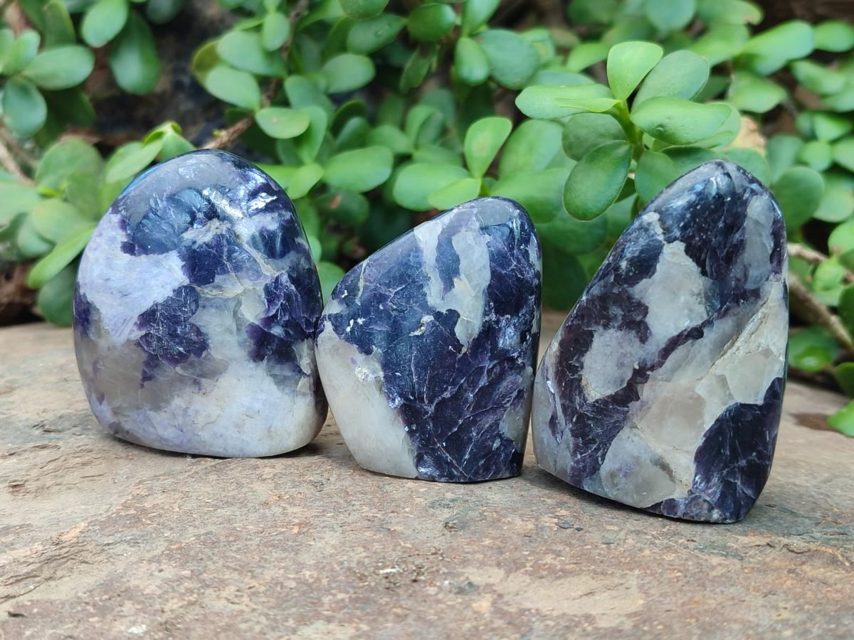Polished Lepidolite Standing Display Pieces x 12 From Zimbabwe