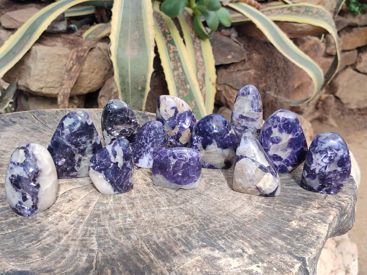 Polished Lepidolite Standing Display Pieces x 12 From Zimbabwe