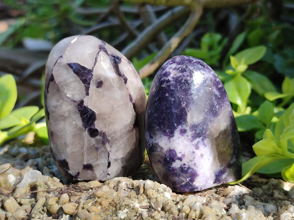 Polished Lepidolite Standing Display Pieces x 12 From Zimbabwe