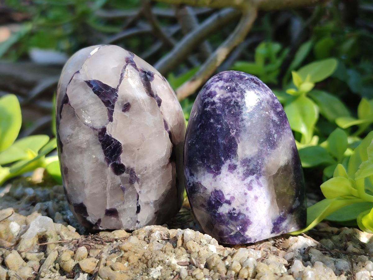 Polished Lepidolite Standing Display Pieces x 12 From Zimbabwe