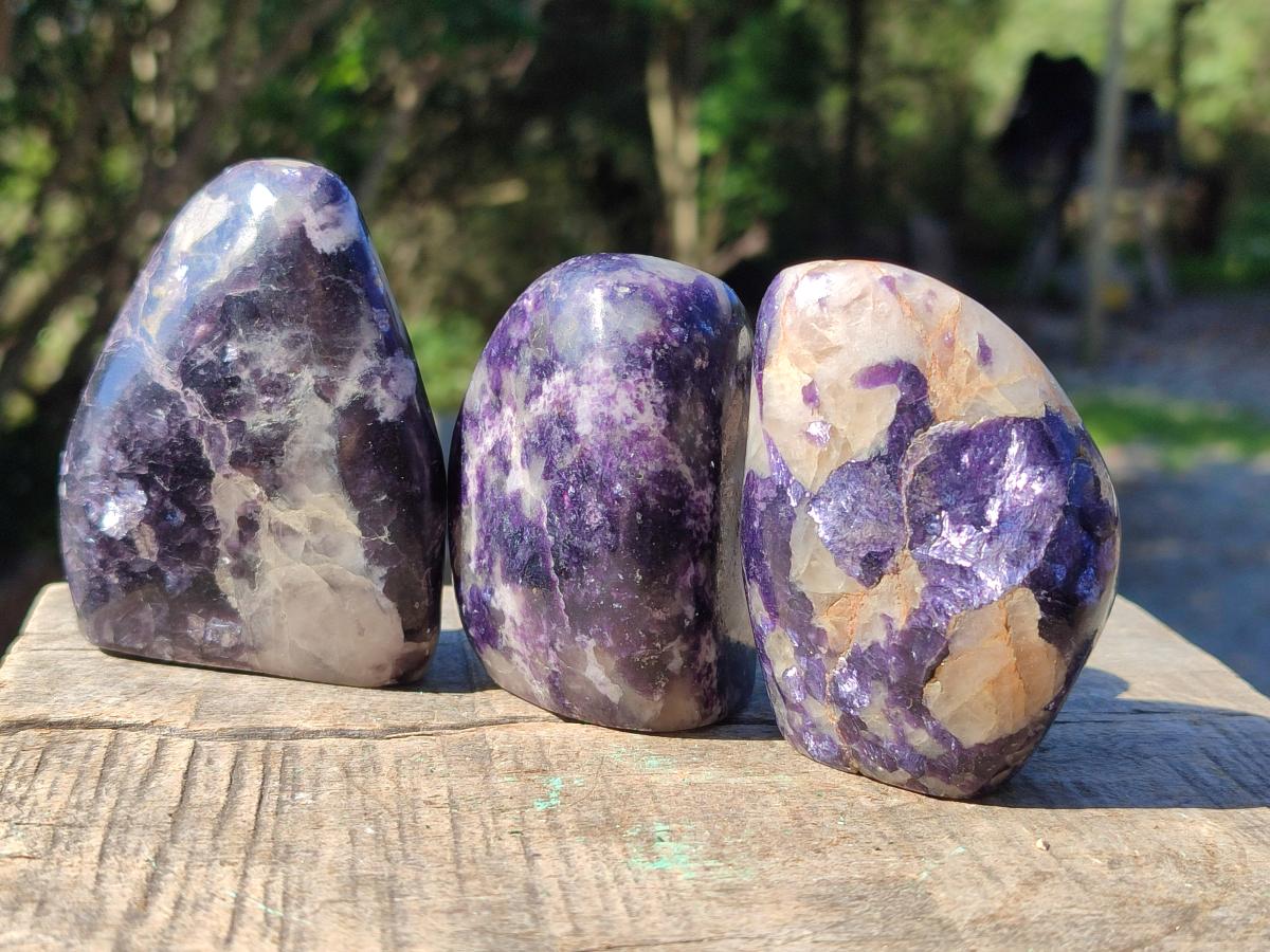 Polished Lepidolite Standing Display Pieces x 12 From Zimbabwe