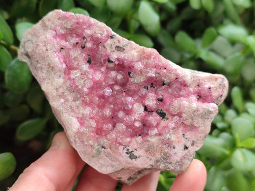 Natural Spherocobaltite Specimens x 6 From Mashamba West Mine, Congo