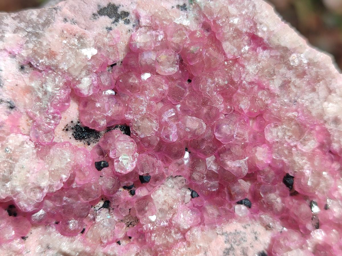 Natural Spherocobaltite Specimens x 6 From Mashamba West Mine, Congo