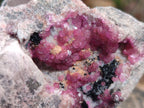 Natural Spherocobaltite Specimens x 6 From Mashamba West Mine, Congo