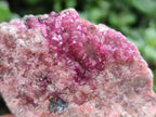 Natural Spherocobaltite Specimens x 6 From Mashamba West Mine, Congo