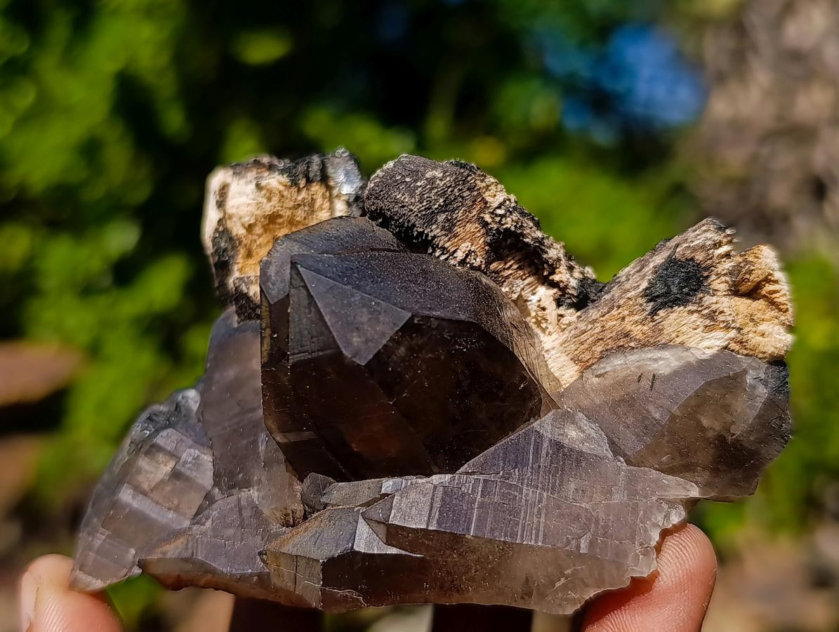 Natural Smokey Quartz Clusters with Associated Minerals x 7 From Erongo, Namibia