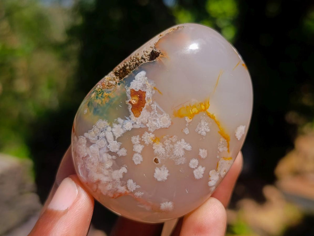 Polished Mix of Multi Mineral Galets x 12 From Southern Africa