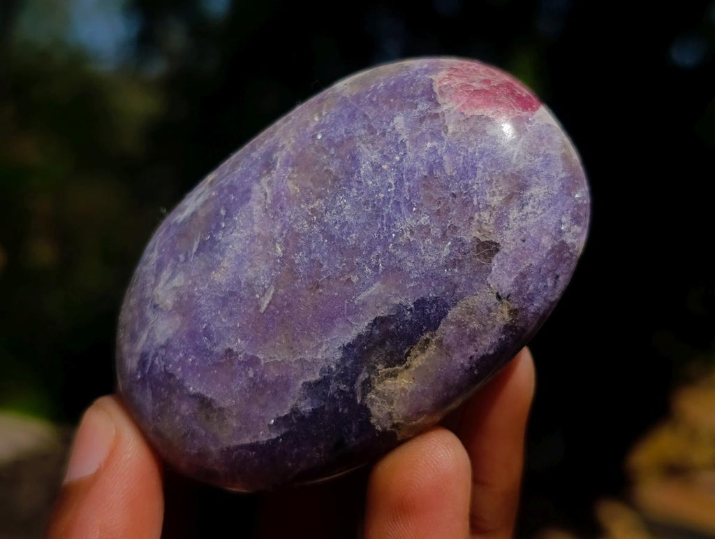 Polished Mix of Multi Mineral Galets x 12 From Southern Africa