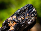 Natural Rough Black Tourmaline Crystals x 70 From Zambia