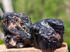 Natural Rough Black Tourmaline Crystals x 70 From Zambia