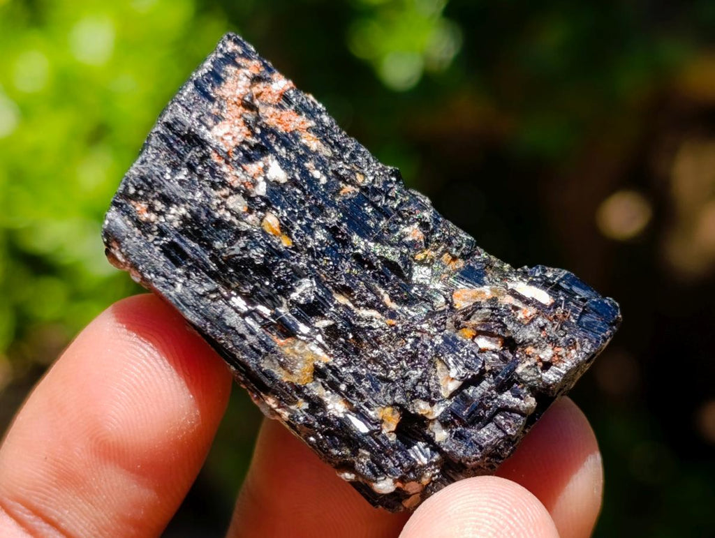 Natural Rough Black Tourmaline Crystals x 70 From Zambia