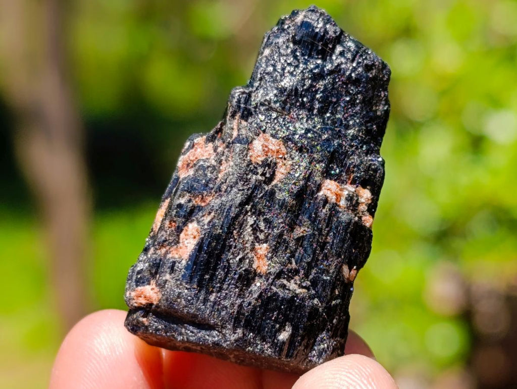 Natural Rough Black Tourmaline Crystals x 70 From Zambia
