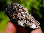 Natural Rough Black Tourmaline Crystals x 70 From Zambia